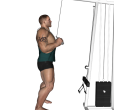 Triceps Push Down - V Bar Attachment